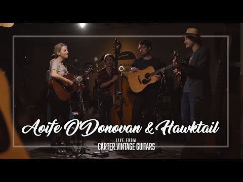 Aoife O'Donovan with Hawktail // Galahad