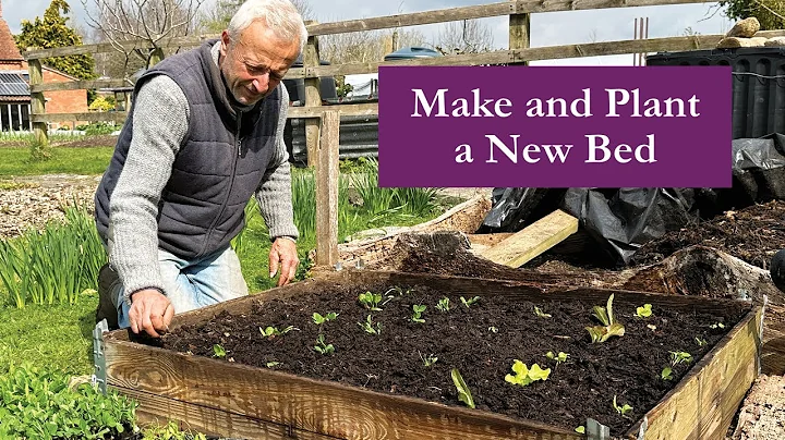 A small no dig bed on weeds, using a pallet collar for temporary sides