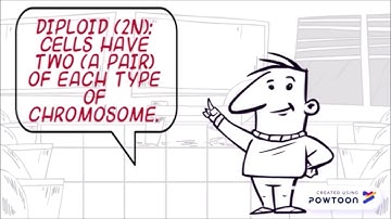 Chapter 6 GENETIC & DNA TECHNOLOGY Part 2