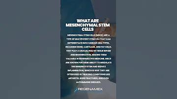 What Are Mesenchymal Stem Cells Stemcellsmexico 