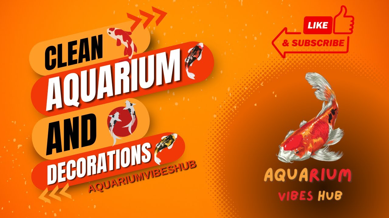 Aquarium Cleaning A Quick Cleaning YouTube