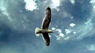 End of the Sky by Lighthouse Family.wmv