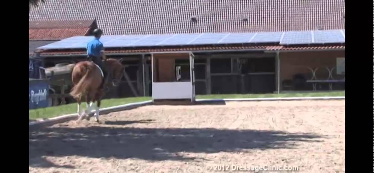 DressageClinic.com Presents Phillip Hess Riding & Lecturing Elly McBeil sample 7292012