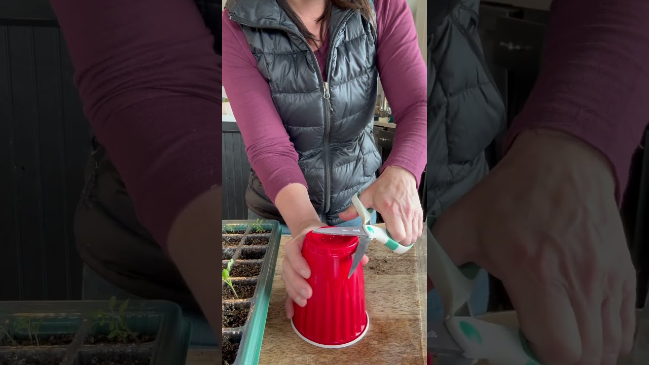 Red solo cup method: drainage holes hack. 