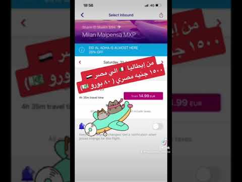 من ايطاليا لمصر ب ٨٠ يورو ١٥٠٠ جنيه طيران