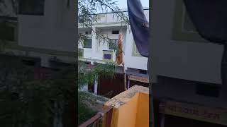 #motivation #facts #motivational #shorts #shortsfeed