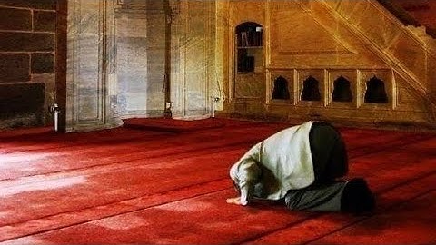 ما تيسر من سورة نوح.. القارئ / أبو مريم