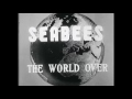 Seabees of World War II