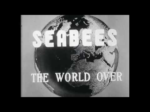 Video: Ali so morske čebele videle boj v drugi svetovni vojni?