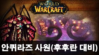 [와우 클래식] 전사 안퀴라즈 사원 대비 자저템 준비