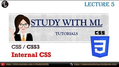 CSS 3 INTERNAL CSS in URDU/ENG with practical(Lec 5)