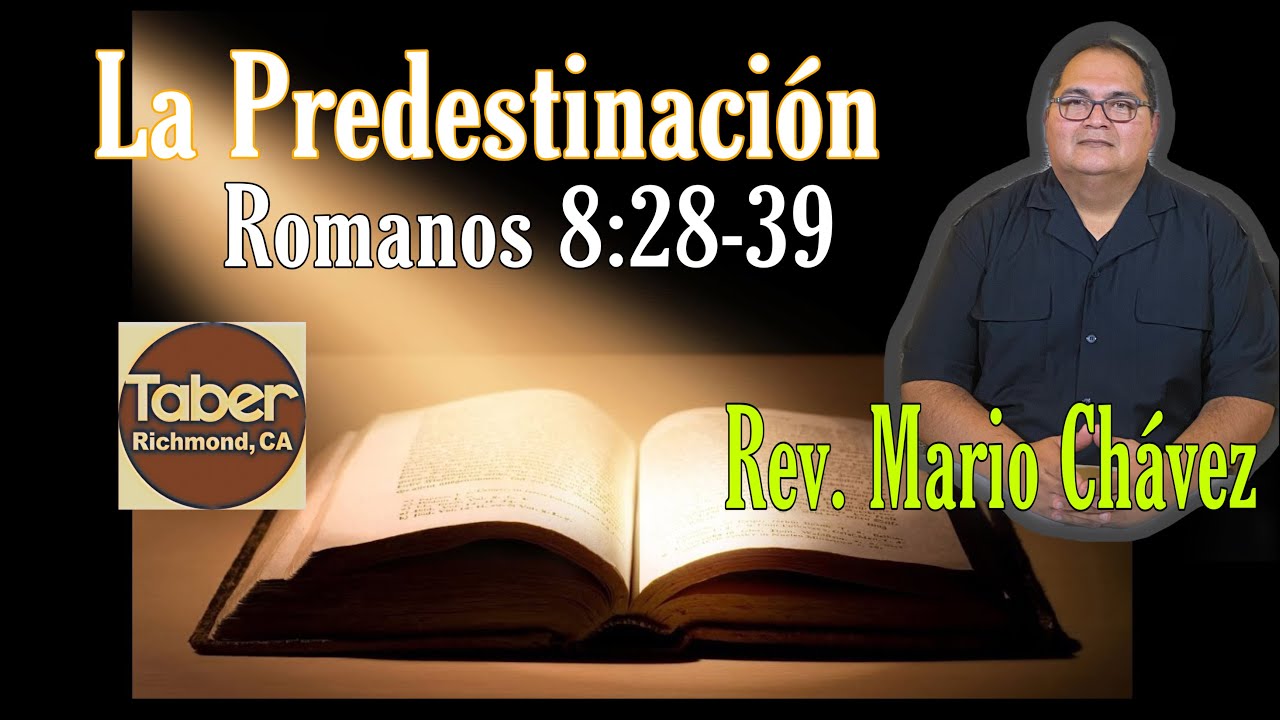 LA PREDESTINACIÓN. ESTUDIOS BIBLICO ROMANOS 8:28-39