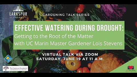 Effective Watering During Drought with UC Marin Ma...