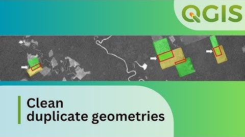 Check topology & clean duplicate geometry from vector data in QGIS