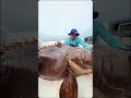 🎣 Massive Catch in Florida Today! 🐟🔥