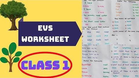 EVS Worksheet for class 1// Class1 EVS Worksheet /class1/class1 EVS