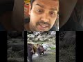 #status #shortsviral #duet #funny #funny#cat#entertaininganimals#memes#magic#freestyle#motivational