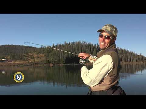 Classic Poudre Canyon Trout (Colorado trout fishing) 