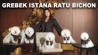 Grebek Istana Ratu Bichon Jakarta