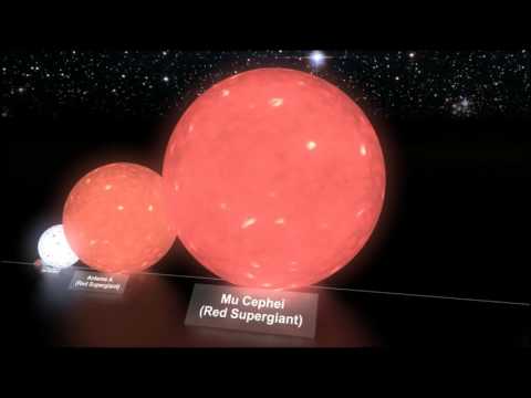 ვარსკვლავების ზომების შეფარდება 21Century