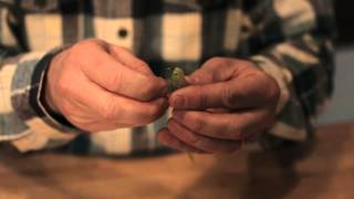 Fishing 101 - Hooking Soft Plastics screenshot 1