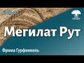 Урок для женщин. Немного о Мегилат Рут. Фрима Гурфинкель