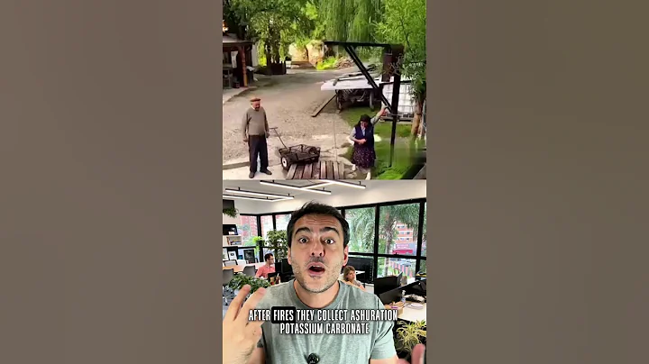 Can Wildfire Ash Clean Your Clothes? This Ancient Method Says Yes!