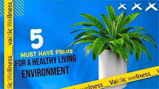 These 5 Plants are the Healthiest plants to have in your house | Vaidic Wellness