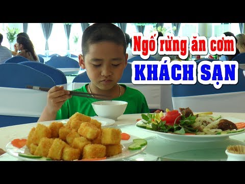 Video TẬP 2 BÉ DƯƠNG LẦN ĐẦU ĐƯỢC ĂN CƠM TẠI KHÁCH SẠN❤KÊNH... - youtube