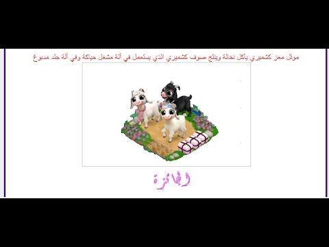 متطلبات المهمة الجديدة الماعز الكشميري من المستوى22الى35