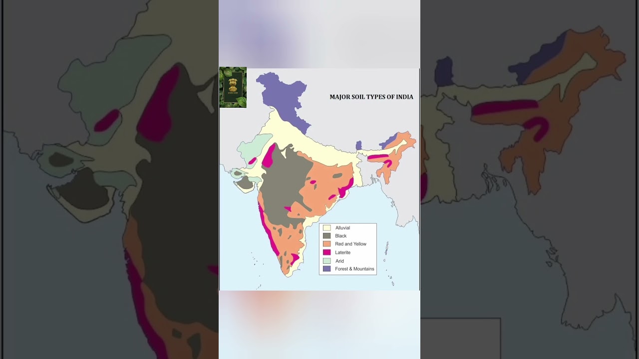 MAJOR SOIL TYPES IN MAP OF INDIA