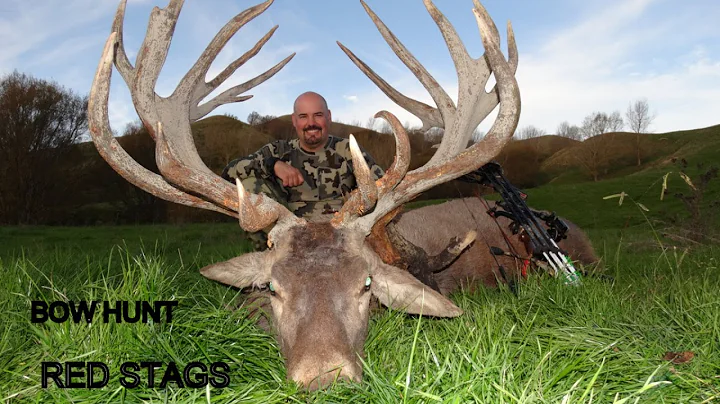 Two Bowhunters two 400+ Red Stags Bowhunting Red Stags New Zealand