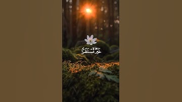 ‏.﴿أَصحابُ الجَنَّةِ يَومَئِذٍ خَيرٌ مُستَقَرًّا  🌷 سورة الفرقان🌷 القارئ : ‎عبدالرحمن مسعد