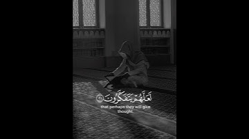 #سورة_الحشر #علي_جابر