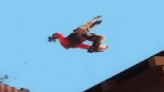 TF2 Moments: Random Shenanigans