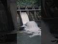 Idukki Kallarukutty Dam: One Shutter Opens as Monsoon Intensifies