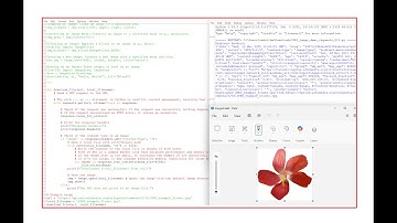 Downloading and Opening Images from Internet Using Python (requests and pillow Libraries)