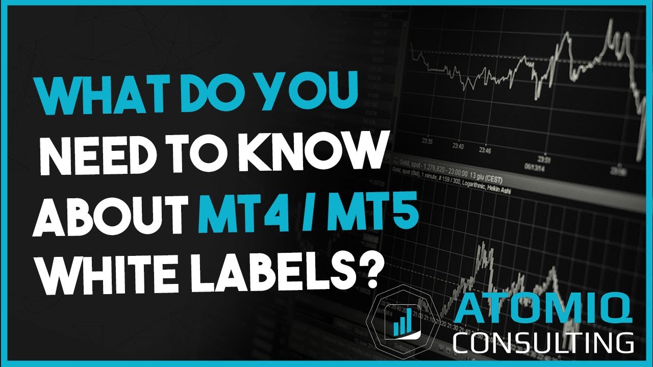 Update Everything You Wanted to Know About MT4/MT5 White Labels