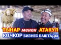 КОЧКОРЛОР ЯРМАРКАСЫ катуу кызыды  ~  Арашан, Гисар, Афган койлору келди