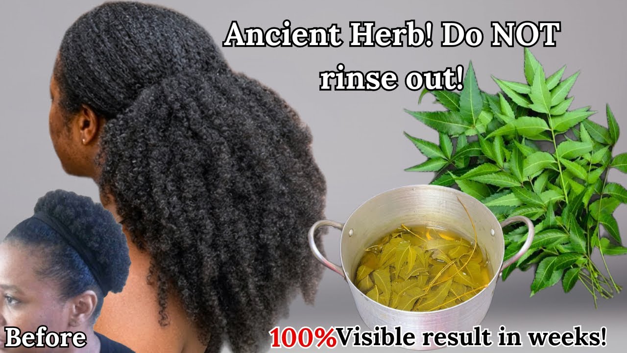 I use this ancient herb 3 times weekly, Now my hair won't stop growing + no hair fall