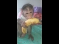 Eating a Banana