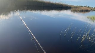 Рыбалка в станице Старочеркасской!Хищник шел один за одним!!!🎣🐟