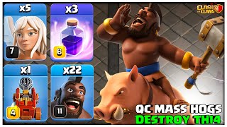 Th14 Hog Attack | Th14 Queen Charge Mass Hog Attack | Th14 Attack Strategy in Clash of Clans