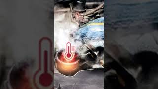 Purpose of coolant temperature sensor - symptoms problems