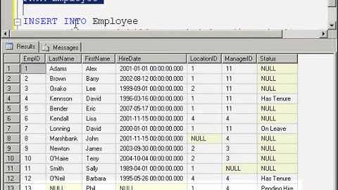 SQL2008DevVol2 Lab3 1   WorkingWithNullsGoodVideo