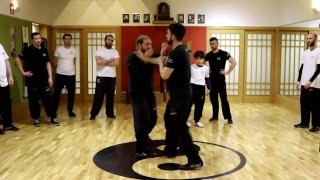 Clases Wing Tsun TAOWS Academy Sevilla - Wutan Sevilla.