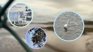 Welcome to the Tamar Island Wetlands | TASMANIA