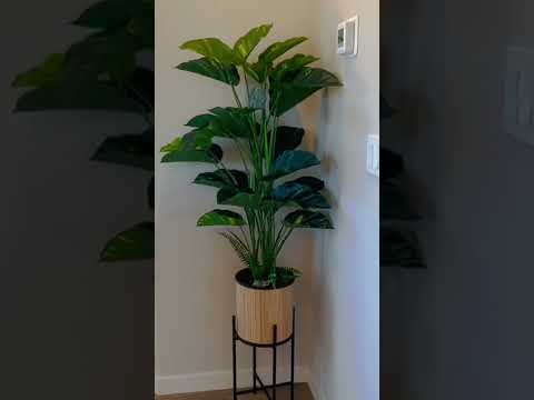 Video: Umělá rostlina pro domácí interiér (foto)