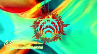 Watch Bassnectar Unlocked feat Rye Rye  Jamalski video