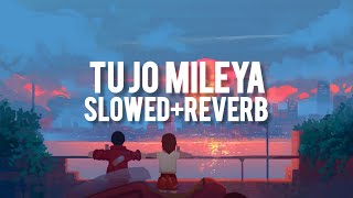 TU JO MILEYA - Juss X MixSingh {Slowed+Reverb}